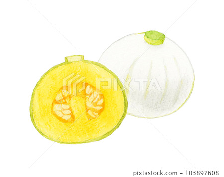 白南瓜切成兩半（厄爾的南瓜）手繪水彩插畫夏日蔬菜 103897608