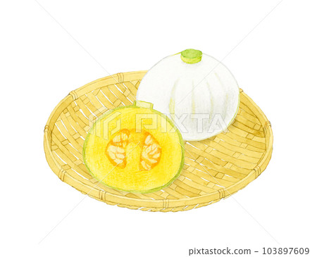 白南瓜切成兩半(厄爾的南瓜)手繪水彩插畫夏日蔬菜 白南瓜切成兩半(厄爾的南瓜)手繪水彩插畫夏日蔬菜 103897609