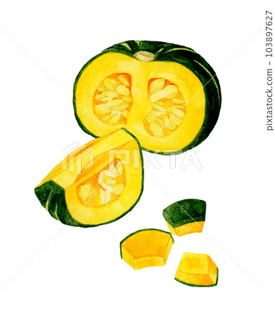 Cut western pumpkin Hand-painted watercolor illustration material of summer vegetables 103897627