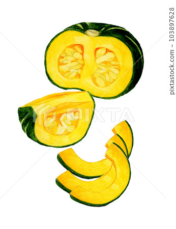 夏季蔬菜切西洋南瓜手繪水彩插畫素材 103897628