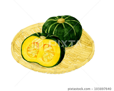 竹漏上的西式南瓜夏季蔬菜手繪水彩插畫素材 103897640