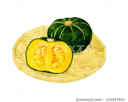 竹漏上的西式南瓜夏季蔬菜手繪水彩插畫素材 103897641