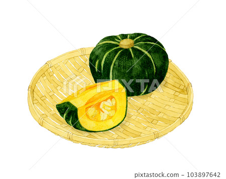 Western pumpkin on a bamboo strainer Hand-drawn watercolor illustration material of summer vegetables 103897642