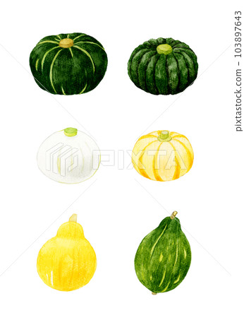 一套可食用的南瓜夏季蔬菜手繪水彩插畫素材合集 103897643