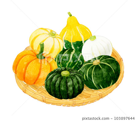 Various kinds of pumpkins on bamboo baskets Hand-painted watercolor illustrations of summer vegetables 103897644