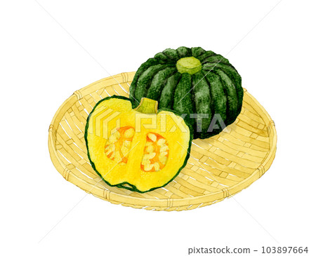 日本南瓜切成兩半蔬菜手繪水彩插畫素材 日本南瓜切成兩半蔬菜手繪水彩插畫素材 103897664