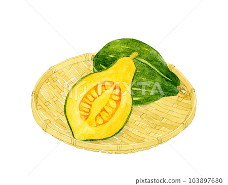 Loron pumpkin cut in half Vegetable hand-painted watercolor illustration material Loron pumpkin cut in half Vegetable hand-painted watercolor illustration material 103897680