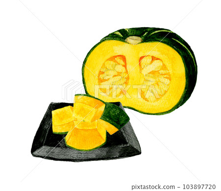 黑盤南瓜（水煮南瓜）夏季蔬菜手繪水彩插畫 103897720