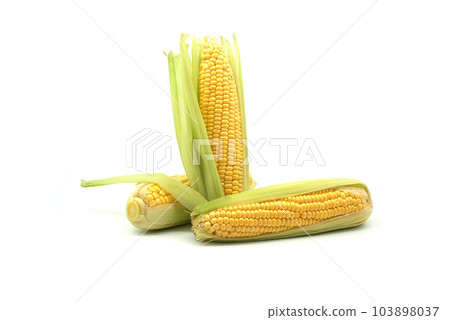 Maize or corn on the cob with leaves over white 103898037