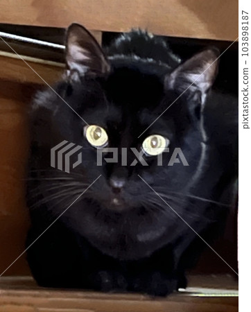 Welcome home Welcome home 103898187