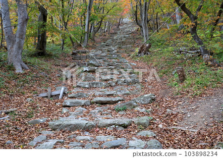 A stone staircase that connects history and faith (Akagami Shrine, important cultural property, Oga City, Akita Prefecture) 103898234