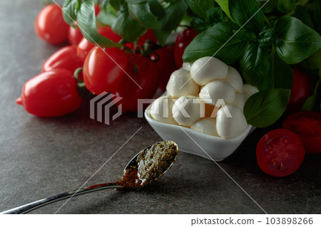 Mozzarella cheese with basil, pesto sauce, and tomatoes. 103898266