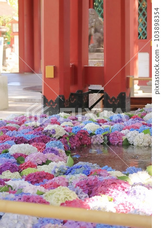 太宰府天滿宮雨季繡球花洗手，垂直 103898354