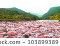 Natural Beauty of Bangladesh 103899389