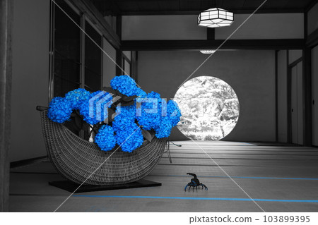 藍色繡球花室內 Pato 顏色 103899395