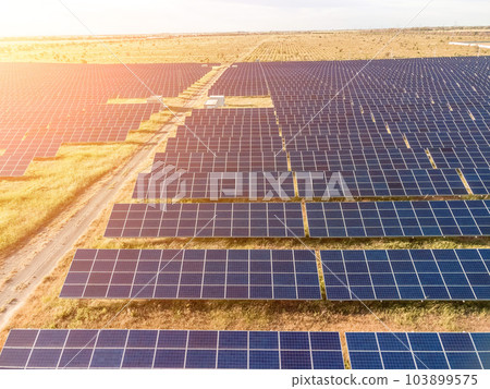 Aerial top view of a solar panels power plant. Photovoltaic solar panels at sunrise and sunset in countryside from above. Modern technology, climate care, earth saving, renewable energy concept. 103899575