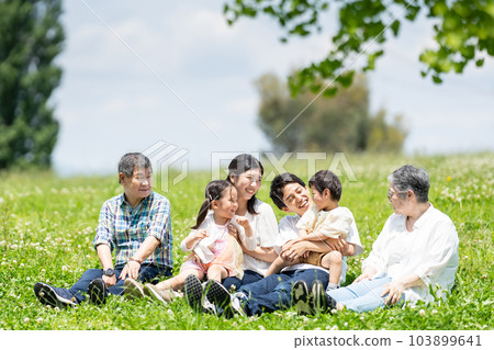 享受野餐的第三代家庭 103899641