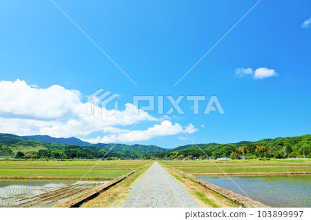 Yamagata Prefecture Blue skies and paddy fields in early summer Yamagata Prefecture Blue skies and paddy fields in early summer 103899997