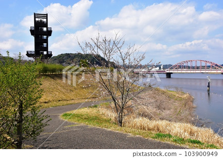 市原市市原湖畔博物館步行道、展望台和高瀧湖 市原市市原湖畔博物館步行道、展望台和高瀧湖 103900949