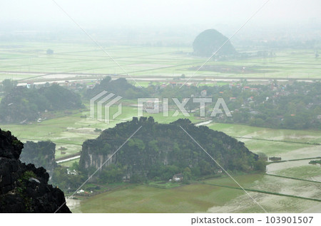 Panorama view of rice fields and limestone rocks and from Hang Mua Temple viewpoint 103901507