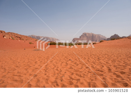 Red sand dunes and sandstone cliffs Red sand dunes and sandstone cliffs 103901528