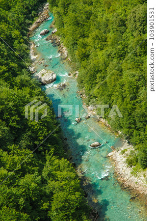 Tara canyon, Montenegro Tara canyon, Montenegro 103901531