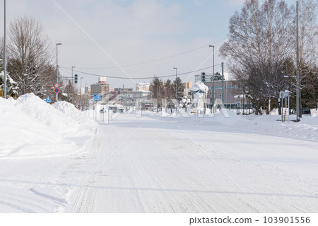 Scenery of Hokkaido in midwinter Scenery of Hokkaido in midwinter 103901556