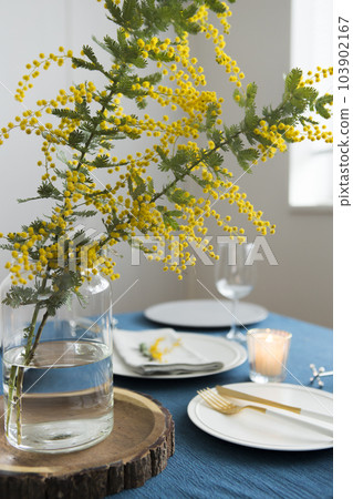 用含羞草裝飾的桌子 103902167