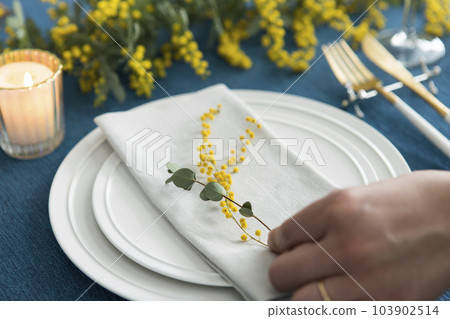 Table setting with mimosa 103902514