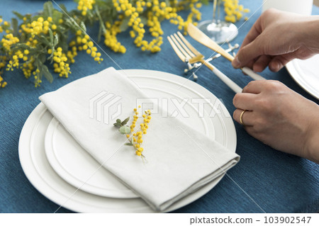 含羞草的餐桌佈置 103902547