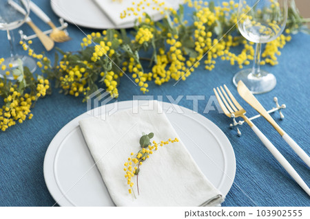 Table coordination using mimosa Table coordination using mimosa 103902555