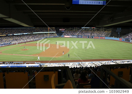 Watch a Major League Baseball game at Dodger Stadium 103902949