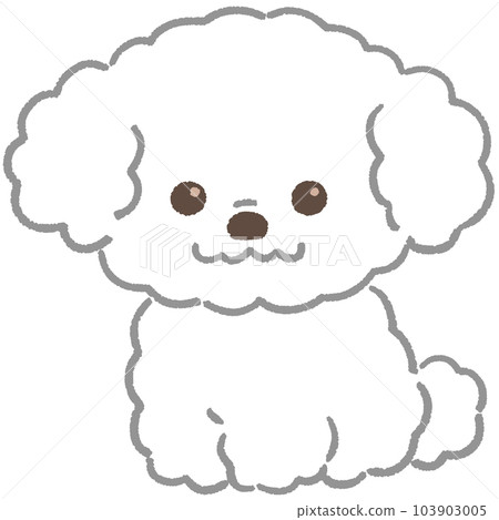 Toy poodle (white) Toy poodle (white) 103903005