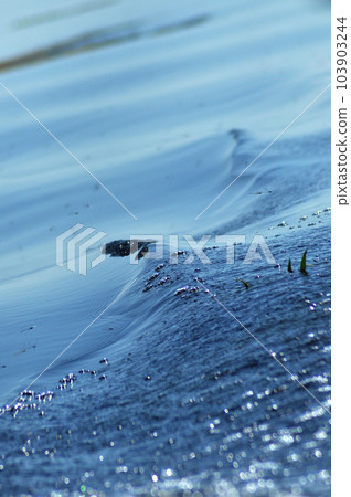 Water ripples on a lake Water ripples on a lake 103903244