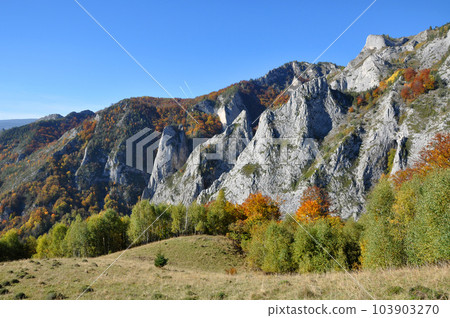 Autumn fall. Colorful autumn forest landscape in the mountains 103903270
