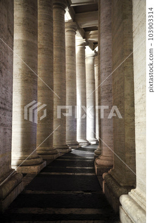 Colonnades of Bernini in the San Pietro square Colonnades of Bernini in the San Pietro square 103903314