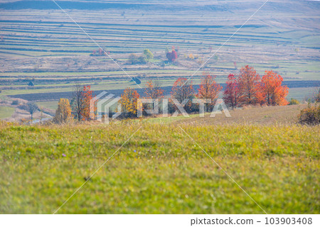 Autumn countryside landscape 103903408