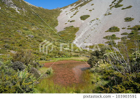 【新西蘭】Mt Cook Red tarns trail 【新西蘭】Mt Cook Red tarns trail 103903591