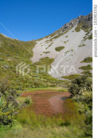 【新西蘭】Mt Cook Red tarns trail 【新西蘭】Mt Cook Red tarns trail 103903592