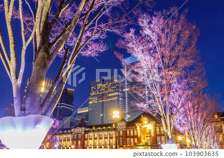 [東京的都市風景]東京道照 103903635