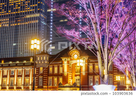 [東京的都市風景]東京道照 103903636