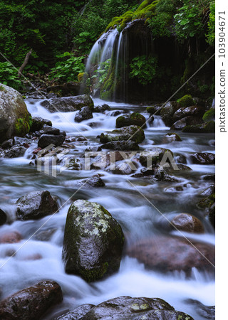 Dragon waterfall 103904671