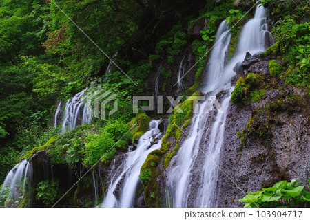 Dragon waterfall Dragon waterfall 103904717