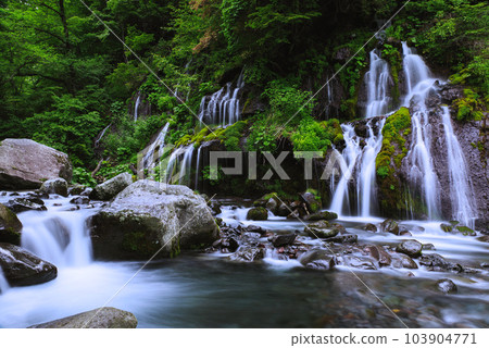 Dragon waterfall Dragon waterfall 103904771
