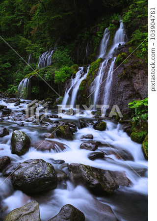 Dragon waterfall 103904781