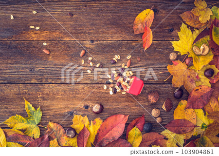 Autumn background, space for text 103904861