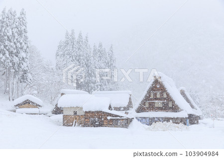 Toyama_Scene of the Gokayama gassho village in the snow 103904984