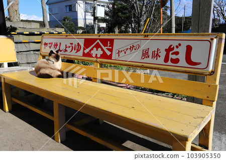 一隻可愛的貓在千葉銚子電鐵銚濱站前的長椅上放鬆 一隻可愛的貓在千葉銚子電鐵銚濱站前的長椅上放鬆 103905350