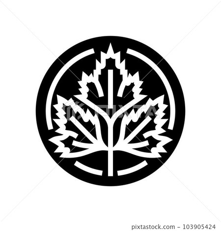 cilantro cosmetic plant glyph icon vector illustration 103905424