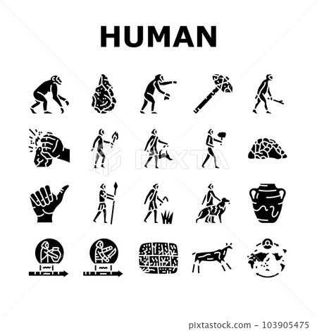 human evolution man caveman icons set vector human evolution man caveman icons set vector 103905475